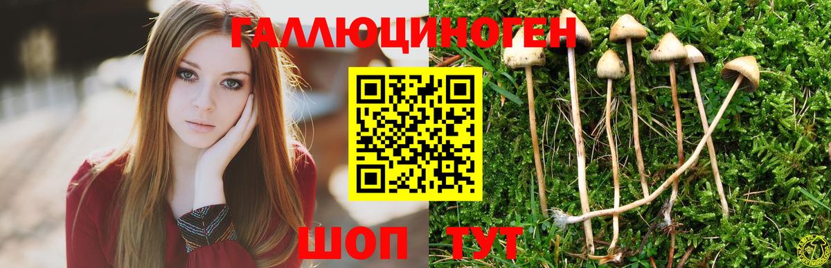 Псилоцибиновые грибы мухоморы  где купить наркоту  Железногорск  Вход с VPN 